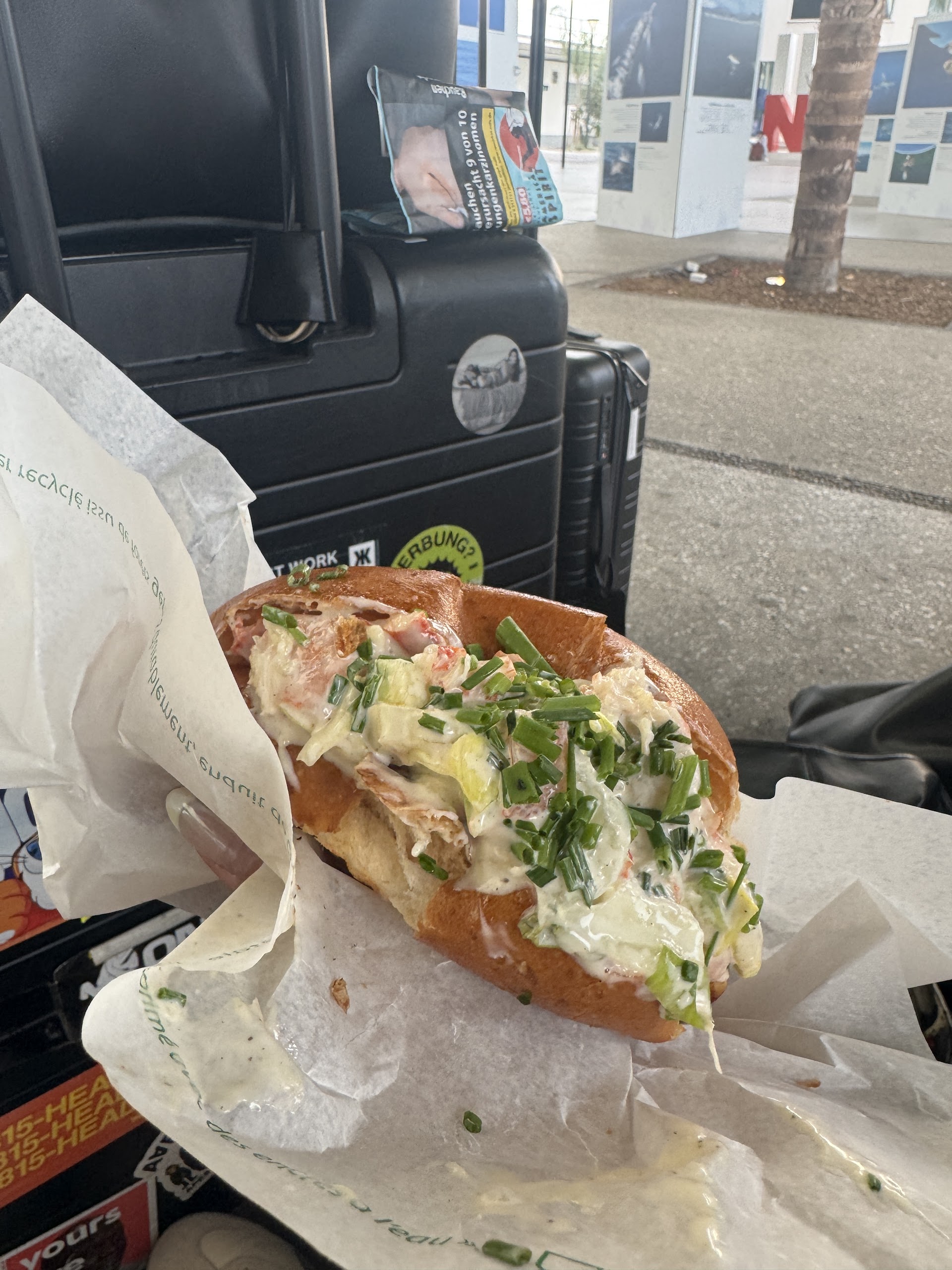 Photo LOBSTA Aéroport de Nice T1