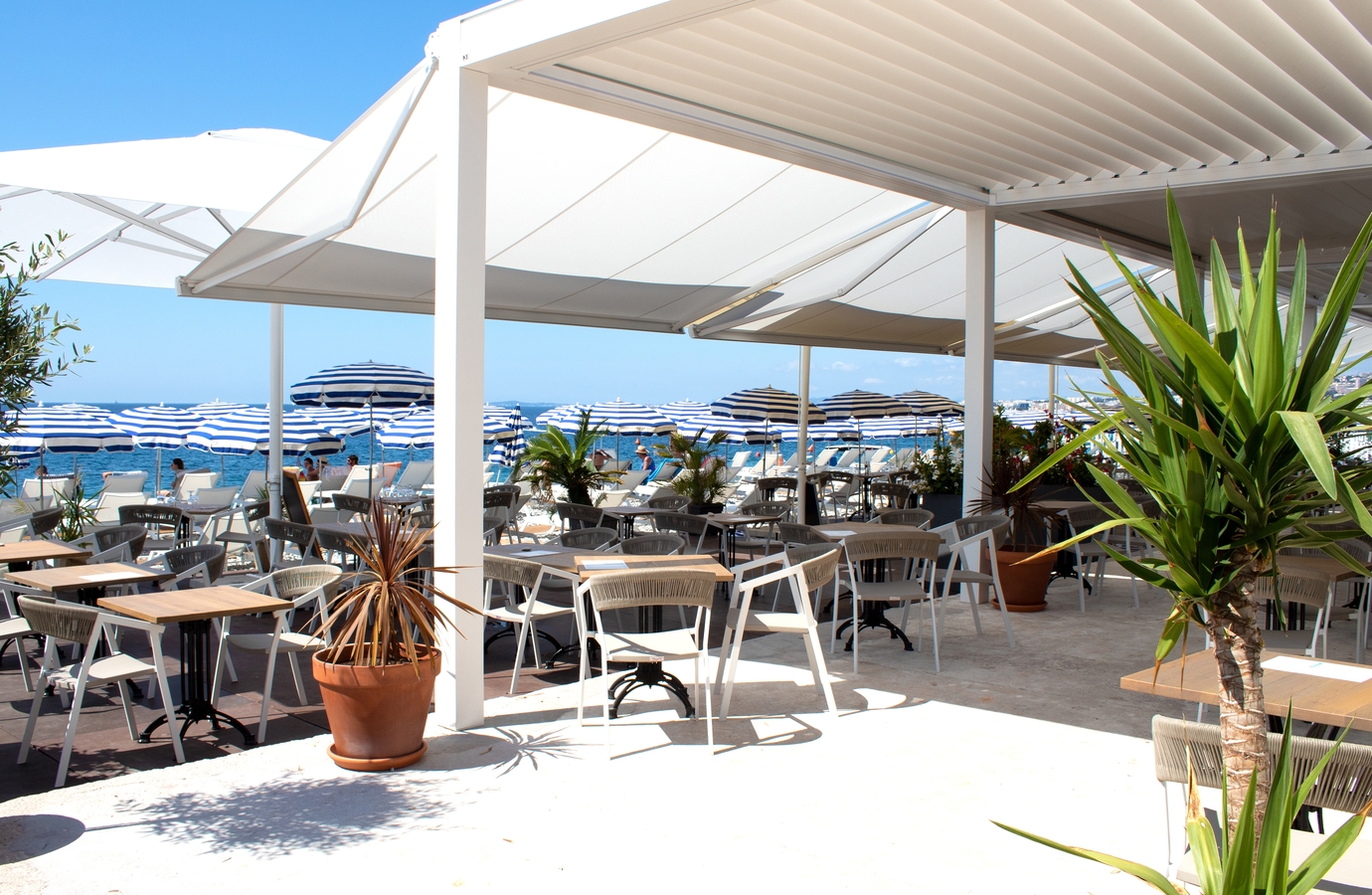 Photo Opéra Plage - Restaurant et Plage Privée à Nice
