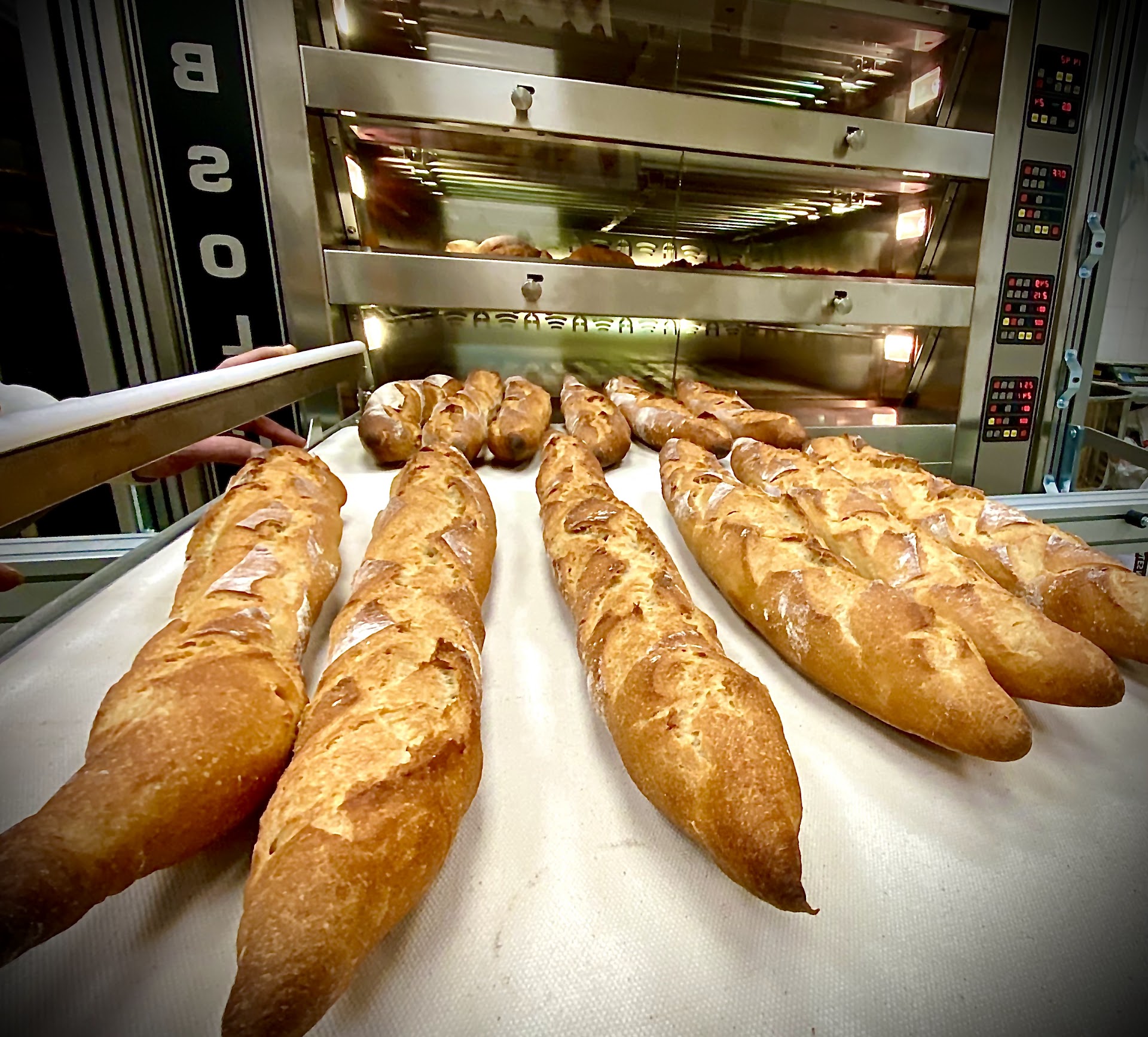 Photo La Pointue Des Pêcheurs